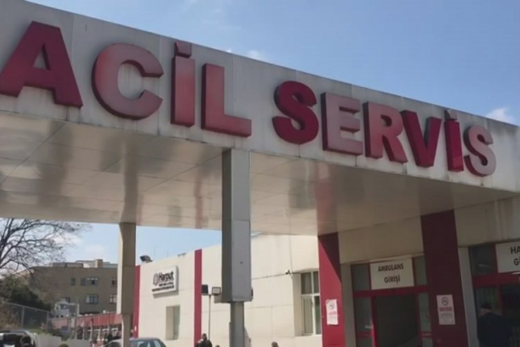 Bursa'da k&ouml;pekler 2 &ccedil;ocuğu ısırdı!