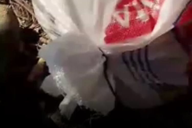 Edirne'de ağızları bağlı &ccedil;uvallarda yavru k&ouml;pekler bulundu!