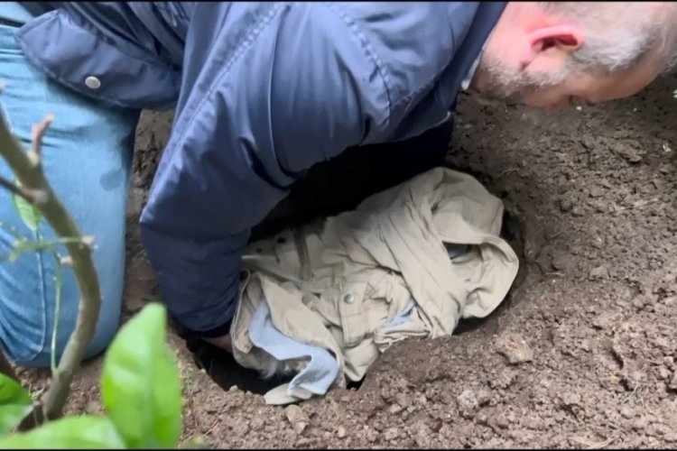 Banu Parlak'ın k&ouml;peğinin &ouml;ld&uuml;rd&uuml;ğ&uuml; 'Leo' toprağa verildi