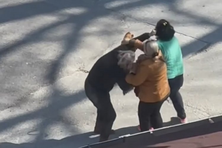 Bursa'da kadınlar sa&ccedil; sa&ccedil;a birbirlerine girdi