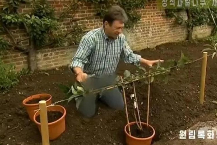 Kuzey Kore devlet televizyonu, sunucunun 'kot pantolonunu' sans&uuml;rledi