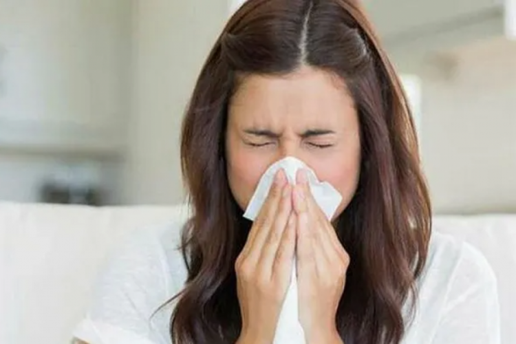 Bahar alerjisi&nbsp;belirtileri nelerdir? Mevsimsel&nbsp;alerjik rinit&nbsp;ve burun tıkanıklığı neden olur, nasıl geçer?