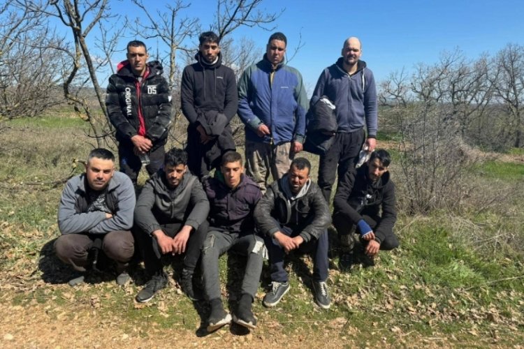 Edirne'de 9 kaçak göçmen yakalandı
