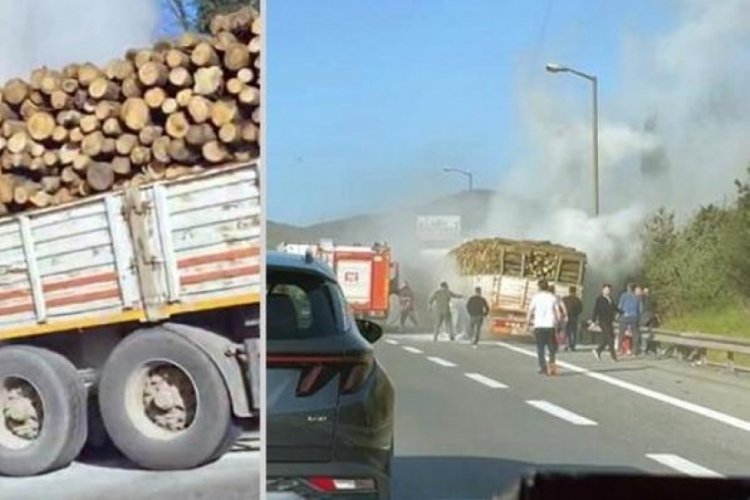 Sakarya'da ağa&ccedil; y&uuml;kl&uuml; TIR bin anda alev aldı