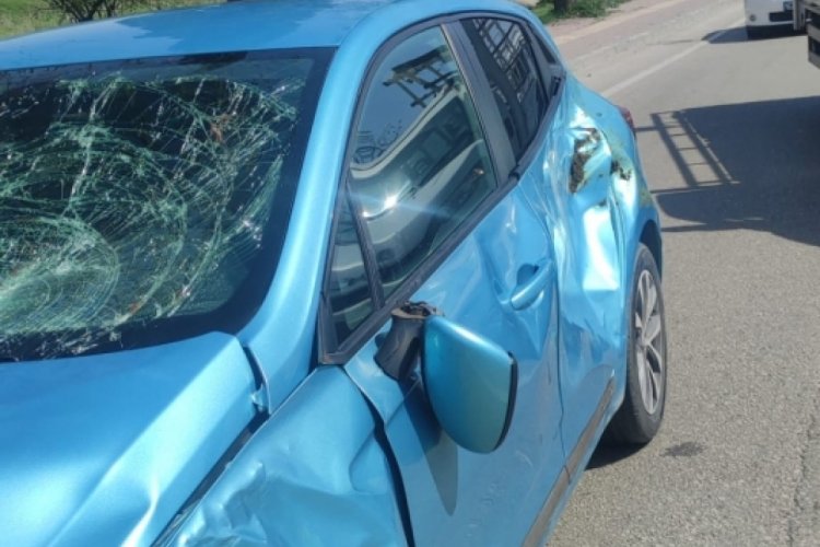 Bursa'da başı boş at otomobile &ccedil;arptı! Ara&ccedil;ta hasar oluştu