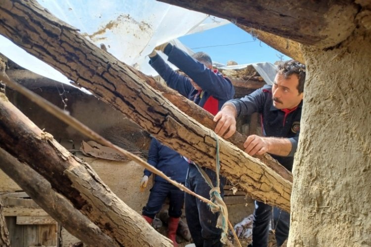 Kahramanmaraş'ta mahsur kalan inek kurtarıldı