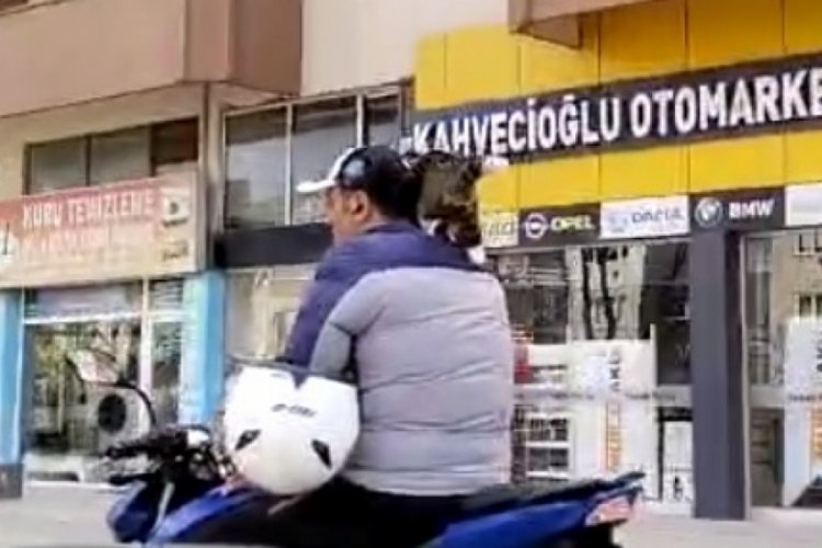 Bursa'da şaşırtan yolculuk! Kediyi kafasına bağlayıp gezdirdi