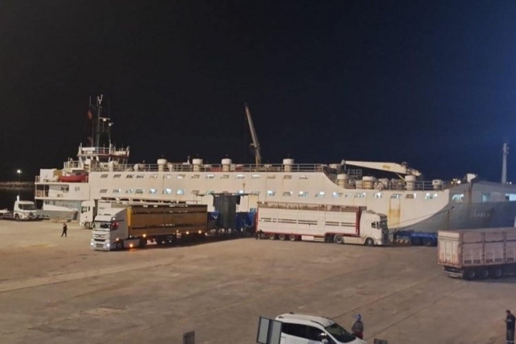 "Y&uuml;zen Ahır" Bandırma halkının sağlığını tehlikeye atıyor
