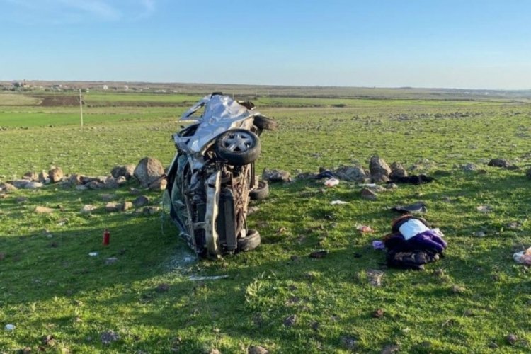 Şanlıurfa'da trafik kazasında 1 kişi hayatını kaybetti, 3 kişi yaralandı