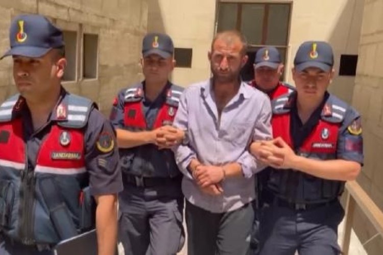 Bursa'da ormanı yaktıktan sonra g&uuml;venlik kamerasından tespit edilen şahıs hakkında karar!