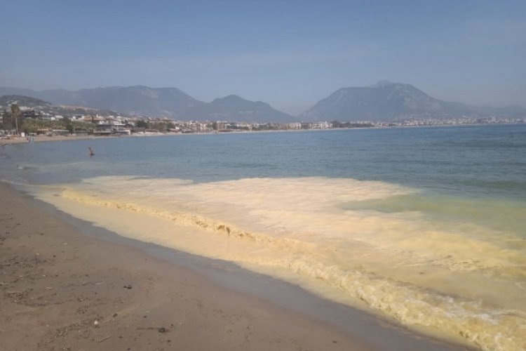 Antalya'da deniz kıyılarında tedirgin eden g&ouml;r&uuml;nt&uuml;ye uzmanından a&ccedil;ıklama