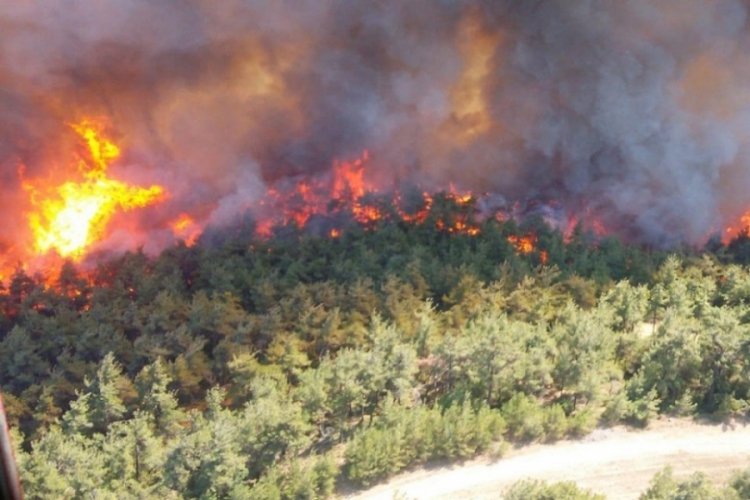 Sinop'ta orman yangını! 5 hektarlık alan zarar g&ouml;rd&uuml;