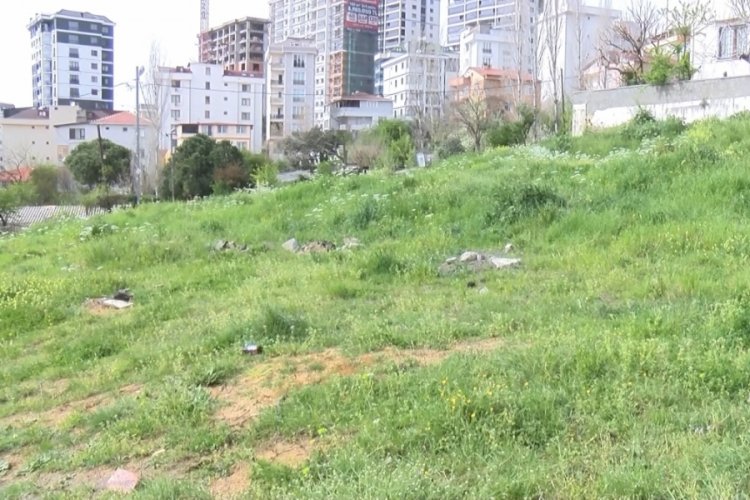 İstanbul'da sokak k&ouml;peklerinin saldırısına uğrayan &ccedil;ocuğa 30 dikiş atıldı
