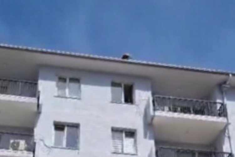 BUSKİ'nin çatısında intihar girişimi