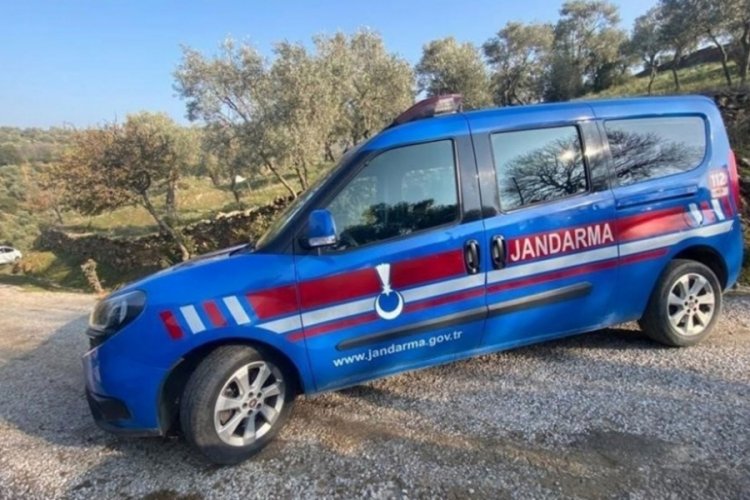 Aydın'da kayıp ihbarında bulunulan kişinin kendi boğası tarafından &ouml;ld&uuml;r&uuml;ld&uuml;ğ&uuml; ortaya &ccedil;ıktı