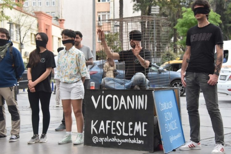 İzmir'de hayvanseverlerden 'kafes' eylemi