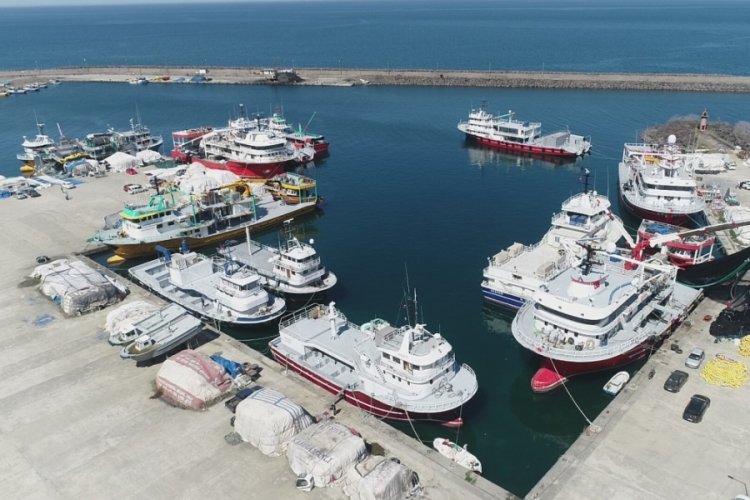 Karadeniz'de ağlar erken toplandı
