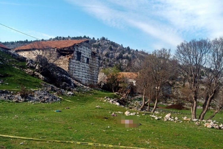 Antalya'da yaşlı kadının &ouml;l&uuml;m&uuml;ne sebep olan &ccedil;oban k&ouml;peklerinin sahibi tutuklandı