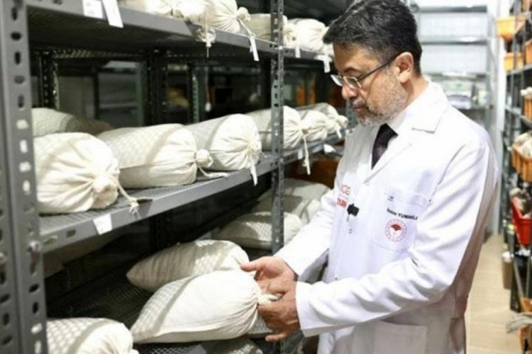 120 bin genetik materyal koruma altında