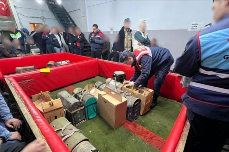 Zonguldak'ta horoz d&ouml;v&uuml;ş&uuml;ne rekor ceza