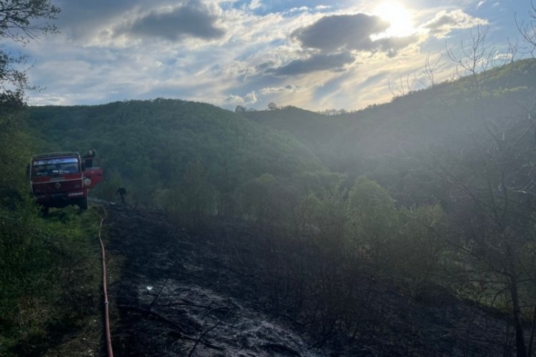 Bursa'da bir orman yangını daha!