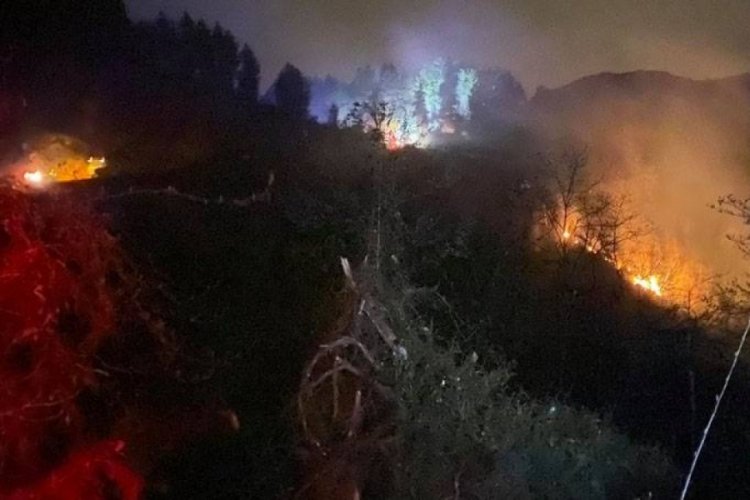 Karadeniz'de b&uuml;y&uuml;k tehlike! "Orman yangınları artacak"