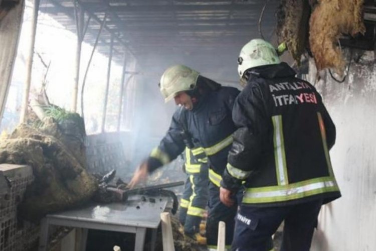 Antalya'da &ccedil;ocukların &ccedil;akmakla oyunu feci bir yangına sebep oldu