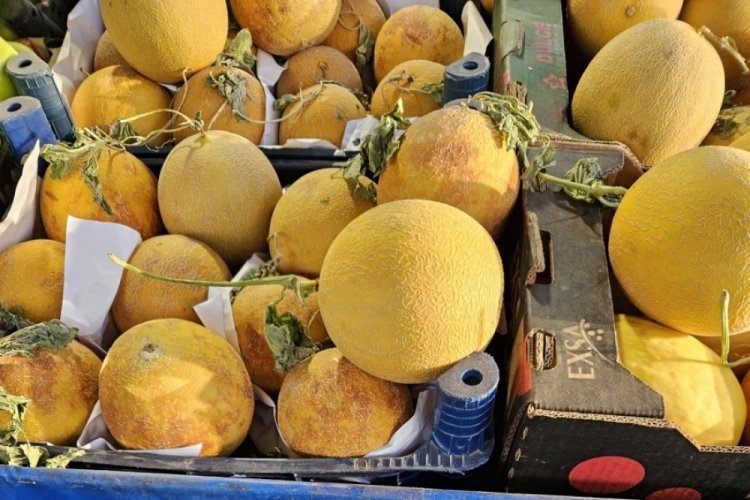 Bursa'da kavun tezgahlardaki yerini aldı
