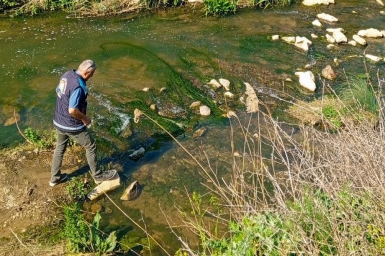 Bursa'da sulak alanlarda av yasağı denetimi bayramda da s&uuml;r&uuml;yor!