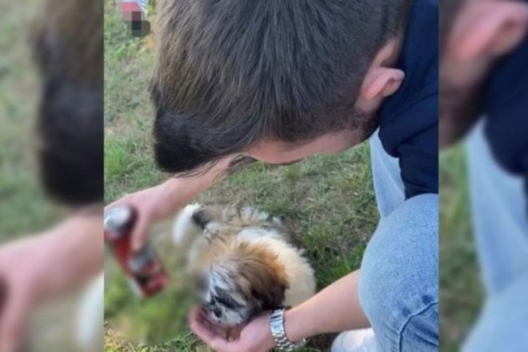 22 yaşındaki gen&ccedil; k&ouml;peğe alkol i&ccedil;irdi