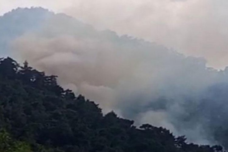 Antalya'da orman yangını &ccedil;ıktı!