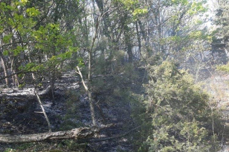 Bursa B&uuml;y&uuml;kşehir Belediye Başkanı Bozbey'den Uludağ'da &ccedil;ıkan yangın hakkında a&ccedil;ıklama!
