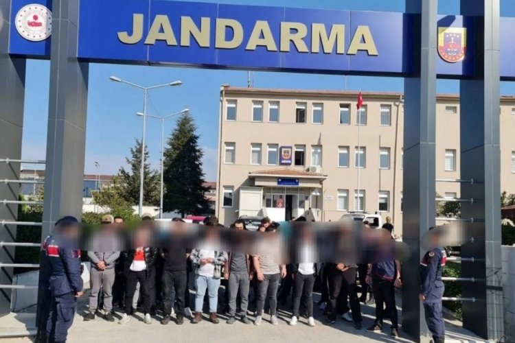 Kırklareli'nde k&ouml;pek d&ouml;v&uuml;şt&uuml;ren 34 kişiye operasyon
