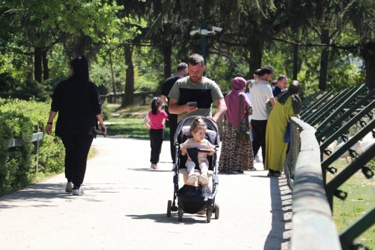 Bursa Hayvanat Bah&ccedil;esi bayramda 61 bin 800 ziyaret&ccedil;iye ev sahipliği yaptı