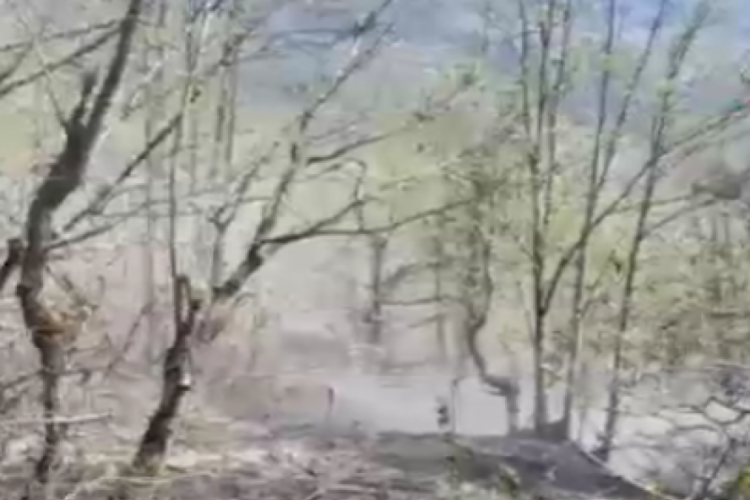 Artvin'de orman yangını; 2 hektarlık alan zarar gördü