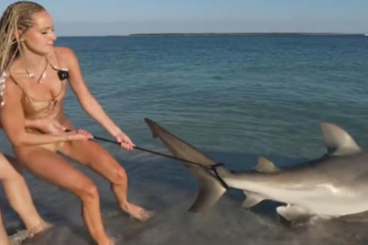 Bir kadın köpek balığının üzerine oturdu! Sosyal medyadan tepki gördü