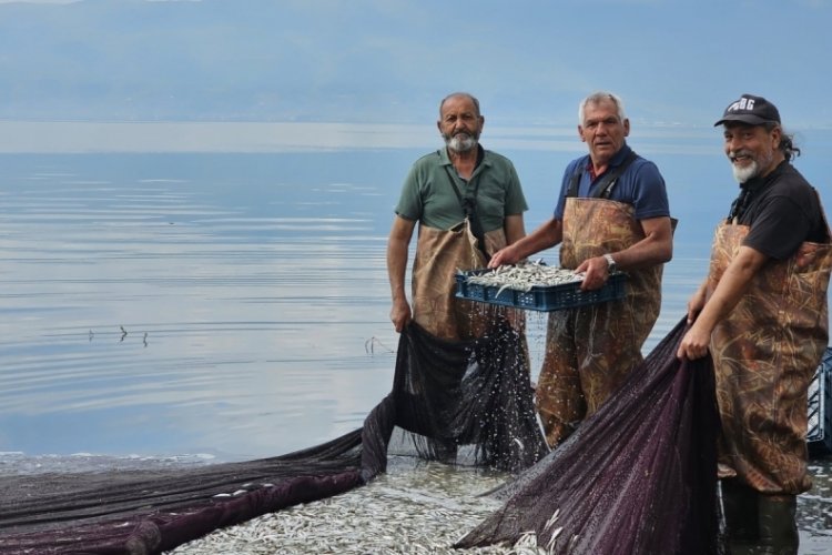 Bursa'da gümüş balığının ihracat serüveni başladı
