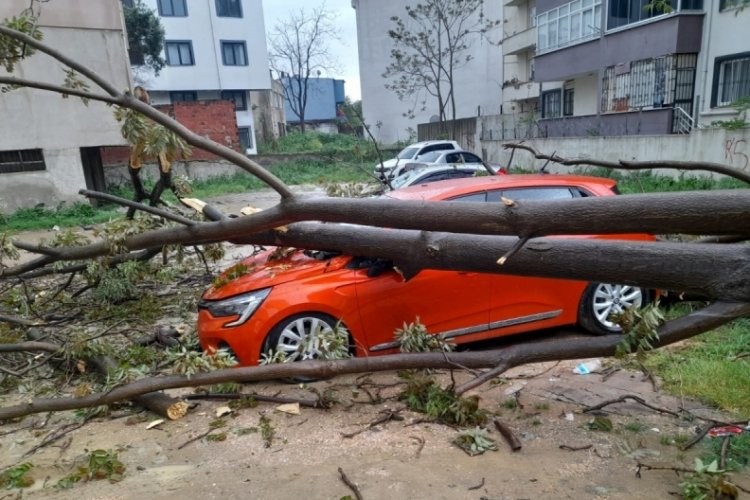 Balıkesir'de ağa&ccedil; otomobilin &uuml;zerine devrildi!