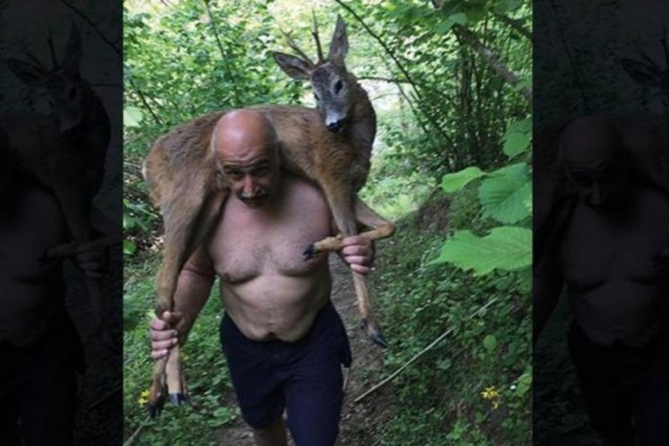 Samsun'da derede yaralı halde bulunan geyik omuzda taşındı