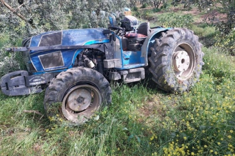 Bursa'da zeytin ilaçlaması yapan traktör devrildi! Sürücü yaralandı