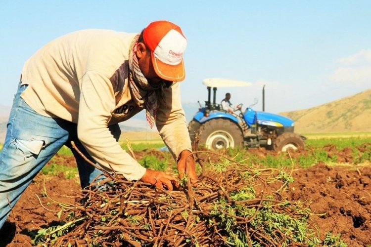 Bakan Yumaklı duyurdu: Tarımsal destek ödemeleri çiftçilerin hesabında
