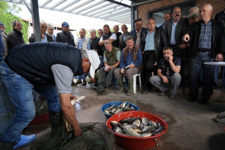 Bursa'da 100 yıllık balık mezadı ilgi görüyor