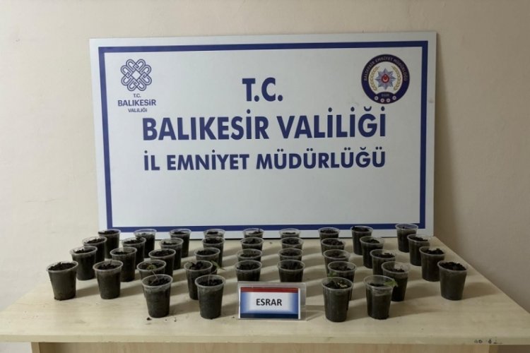 Balıkesir Erdek'te uyuşturucu operasyonu: 1 g&ouml;zaltı!