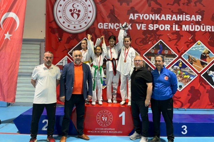 Taekwondo il şampiyonası tamamlandı