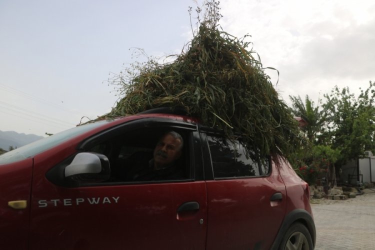 Eşini yormamak i&ccedil;in otomobiliyle ot taşıyan yaşlı adam y&uuml;rekleri ısıttı