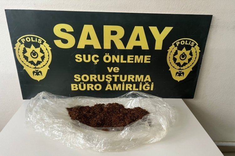 Tekirdağ'da bonzai ele ge&ccedil;irildi