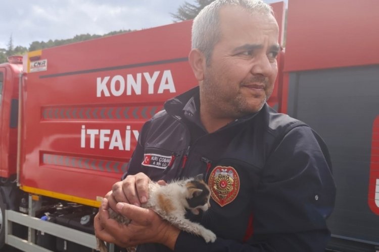 Konya'da otomobilin motoruna sıkışan kedi kurtarıldı