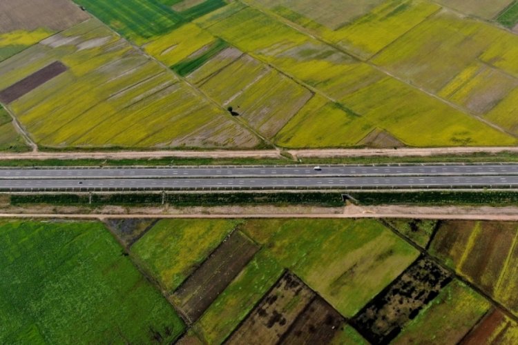 Bursa'da 42 bin 76 metrekare tarla icradan satışa &ccedil;ıkarıldı! Resmen duyuruldu
