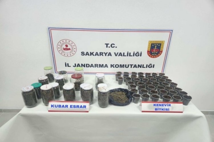 Sakarya'da uyuşturucu operasyonu!