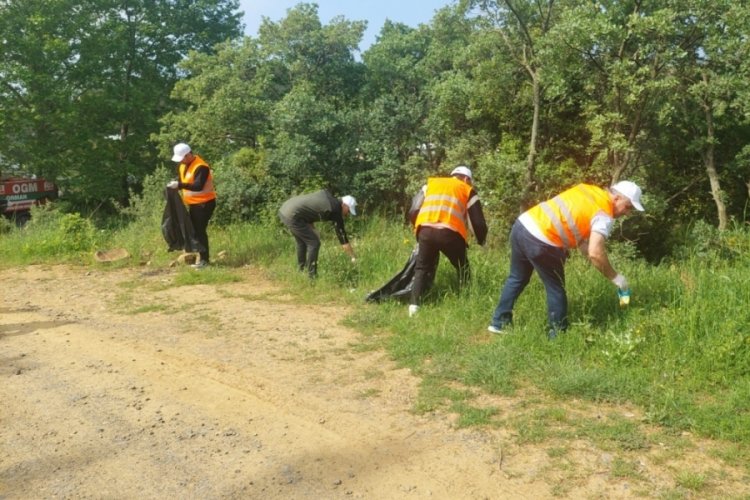 "Orman Benim" kampanyası &ccedil;er&ccedil;evesinde ormanlar temizleniyor